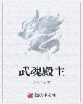 武魂殿主教有几个人