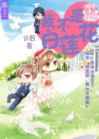 我不是白莲花攻略