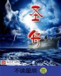 圣安物流查询