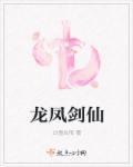 龙凤宝剑是谁用的