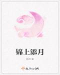 锦上添花的意思是什么意思?