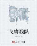 飞鹰队员