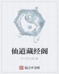 道藏天仙设定