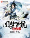 圆梦系统李安