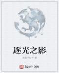 逐光之路简谱