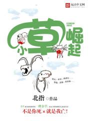 小草a√