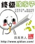 极品败家子介绍