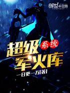 超级军火库系统 聚合中文网