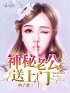 神秘老公来袭全文阅读