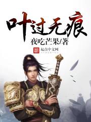 叶落无痕免费阅读