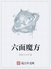 六面魔方世界纪录几秒出来