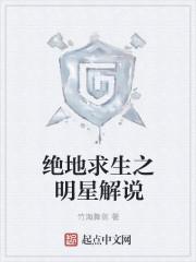 绝地求生端游解说
