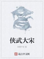 侠武大宋全本