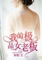 我的极品女老板我爱鹏鹏君