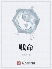 贱命人生