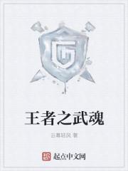 王者之武和王者之魄哪个好用