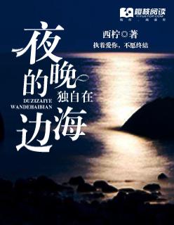 独自在夜晚的海边介绍