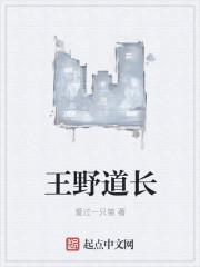 王野道长名言