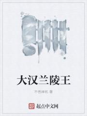 兰陵王 大闪