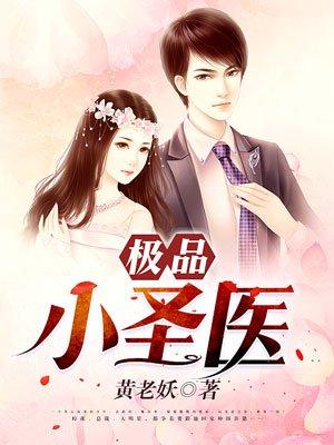 极品小圣医全文