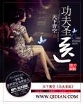 功夫圣医吧