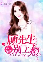 顾先生的第一宠婚礼