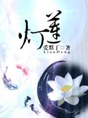中国民间故事宝莲灯