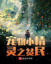宠物小精灵之平民训练家