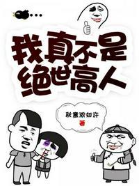 我真不是绝世高人封面图片高清