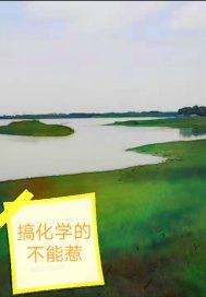 搞化学的不能惹第三部