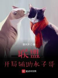 联盟开局辅助水之歌