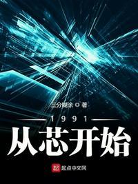 1991从芯开始类似