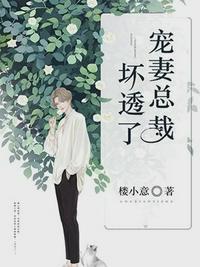 宠妻总裁坏透了完整版笔趣阁