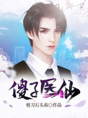 傻子医仙境界介绍