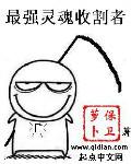 灵魂收割者100级加点