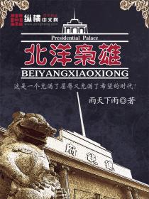 北洋军覆灭记4