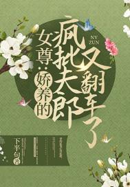 女尊娇养的疯批夫郎又翻车了几个男主