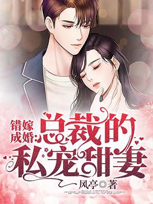 错嫁成婚 总裁的私宠甜妻