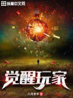 觉醒v0.34b