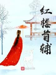 红楼首辅为什么断更了