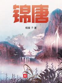 锦唐公棚赛鸽