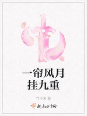 一帘风月挂九重txt