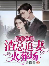渣总追妻火葬场全文免费阅读百度