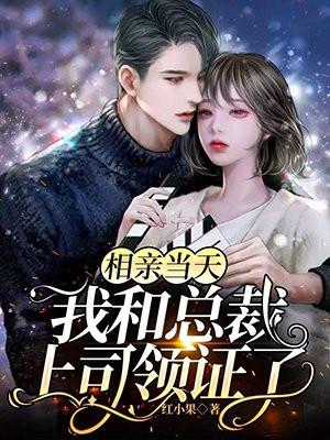 我和总裁上司领证了 作者红小果