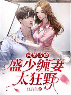 闪婚蜜爱总裁独宠小萌妻盛莞莞1285全文免费阅读1227