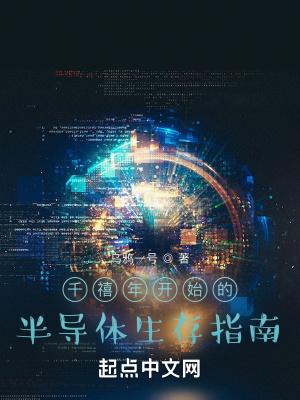 千禧年半导体生存指南天域