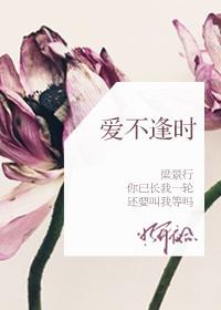 短剧爱不逢时