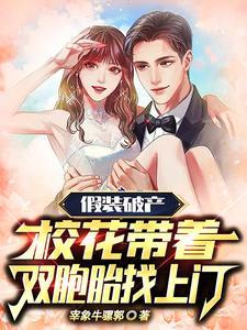 假装破产校花带着双胞胎找上门TXT