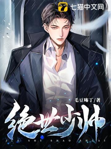 绝世少帅完整版