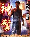 神警奇偷免费观看